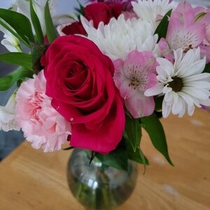 Meet your Posher, Elodie